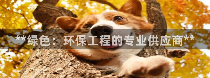 彩名堂是不是不能用了吗：**绿色：环