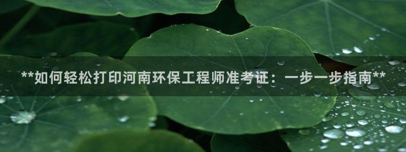 彩名堂使用方法：**如何轻松打印河南