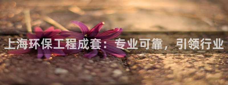 彩名堂计划官方客服：上海环保工程成套