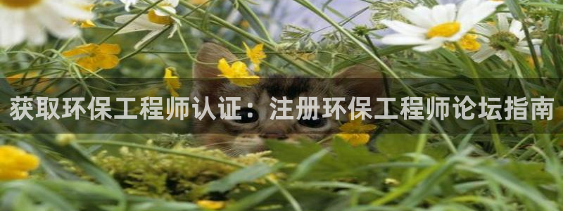 彩名堂计划最新版手机版：获取环保工程
