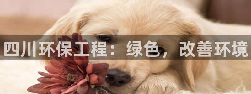 下载彩名堂预测计划软件安卓：四川环保