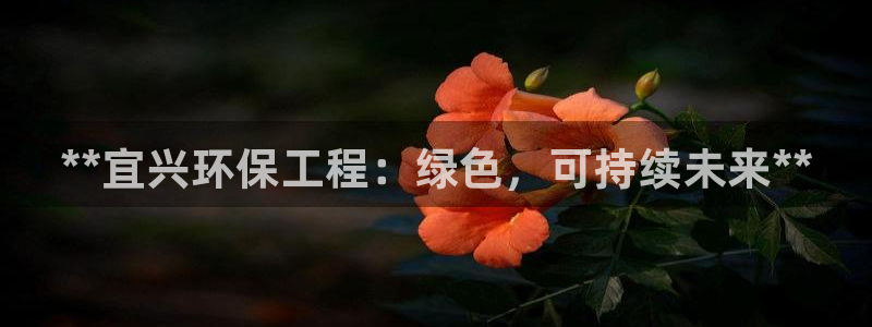 彩名堂客户端官网：**宜兴环保工程：