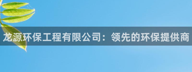 彩名堂排三：龙源环保工程有限公司：领