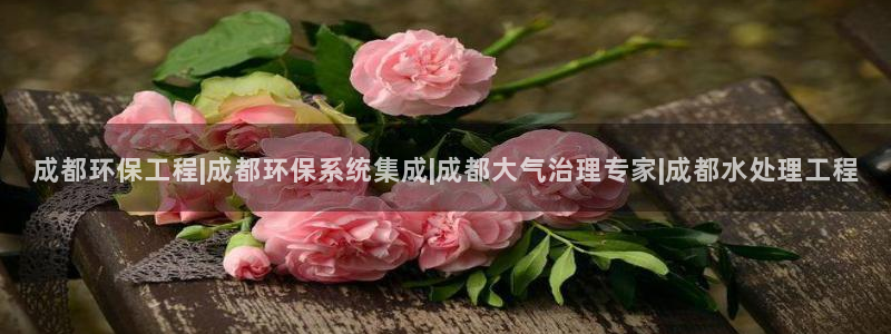 彩名堂怎么选稳定计划产品：成都环保工