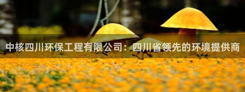 彩名堂怎么跟计划才不连挂：中核四川环