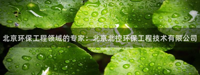 彩名堂.netnet：北京环保工程领