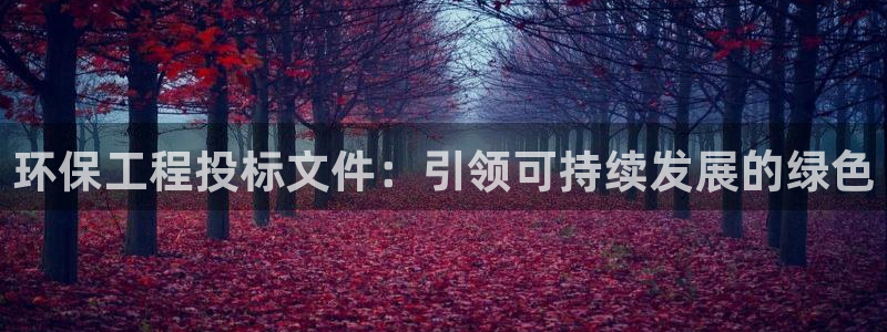 彩名堂官网在线计划怎么不更新了：环保工程投标文件：引领可持续发展的绿色