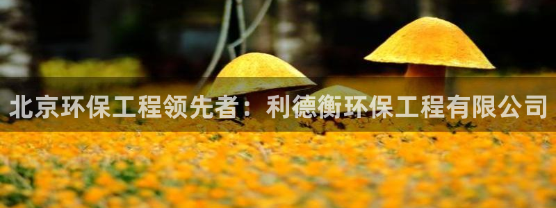 彩名堂为什么打不开：北京环保工程领先