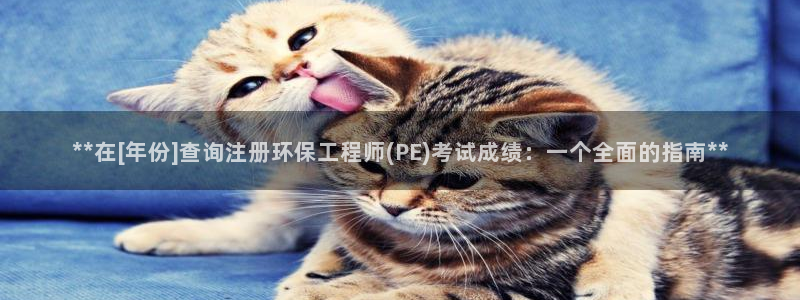 彩名堂怎么用不输：**在[年份]查询