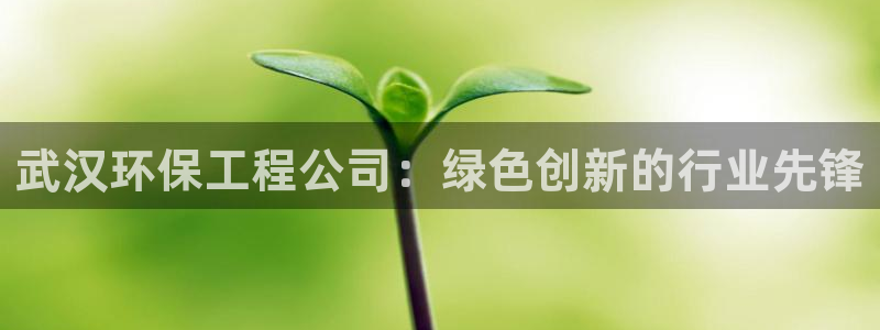 彩名堂免费计划官网5.0app：武汉