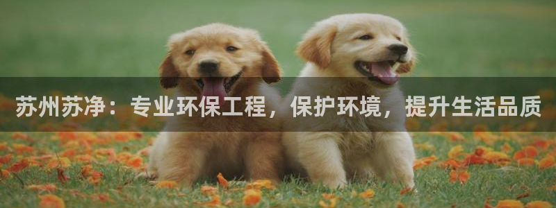 彩名堂预测软件与分析软件区别：苏州苏
