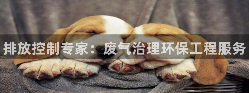 彩名堂下载官网：排放控制专家：废气治