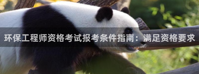 老版本彩名堂计划软件：环保工程师资格