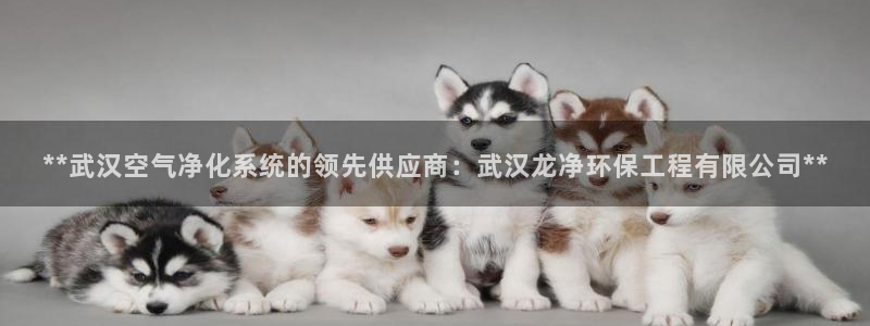 老版本彩名堂计划软件：**武汉空气净化系统的领先供应商：武汉龙净环保工程有限公司**