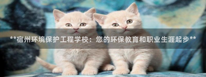 彩名堂免费计划官网老版本：**宿州环