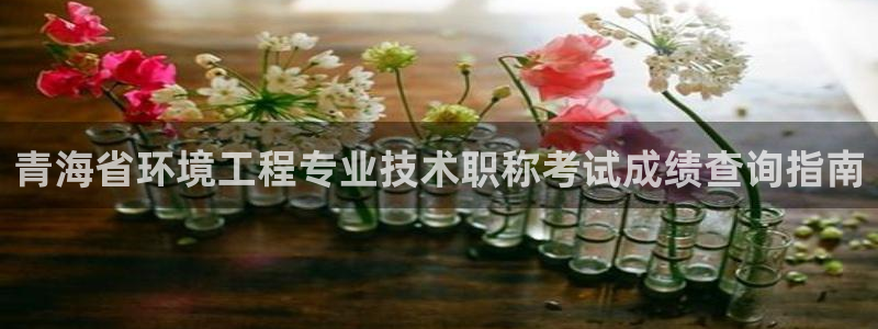 彩名堂计划怎么跟不挂：青海省环境工程