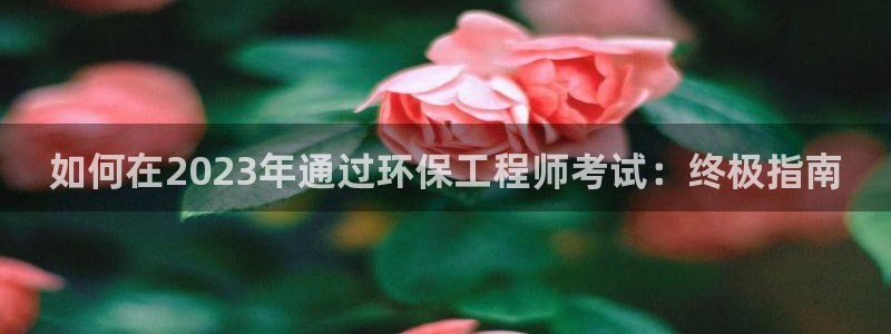 彩名堂预测计划：如何在2023年通过