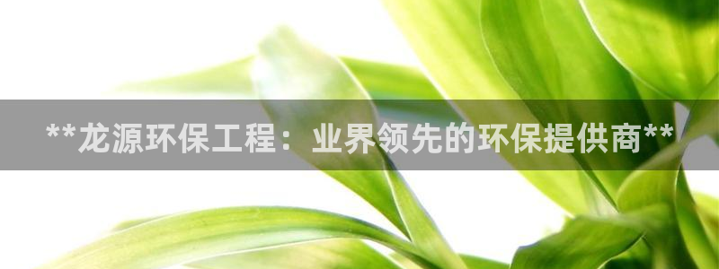 正规彩名堂官网计划01：**龙源环保