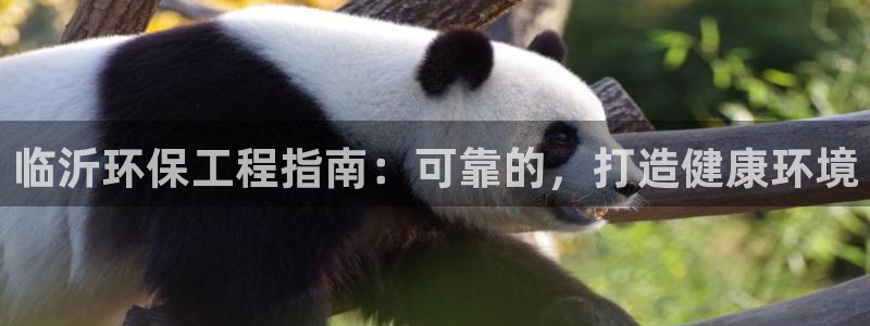 彩名堂安卓客户端官网：临沂环保工程指