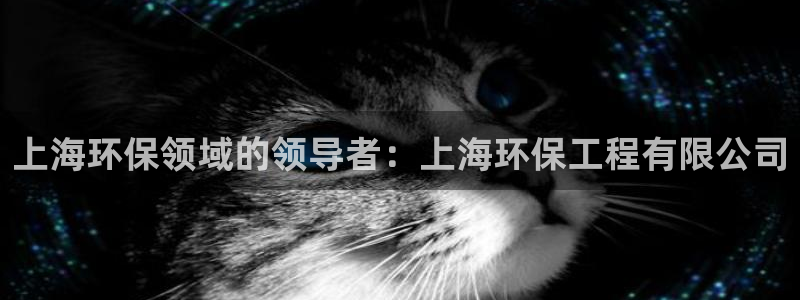 彩名堂上推荐的几个平台怎样：上海环保