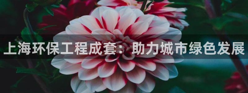 彩名堂预测软件：上海环保工程成套：助