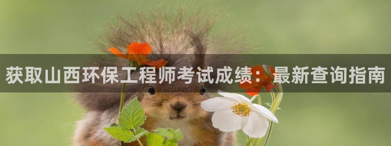彩名堂手机客户端官网：获取山西环保工程师考试成绩：最新查询指南