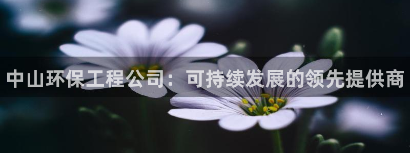 彩名堂客服：中山环保工程公司：可持续