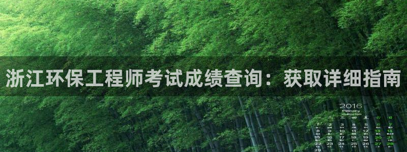 彩名堂怎么打不开了：浙江环保工程师考试成绩查询：获取详细指南