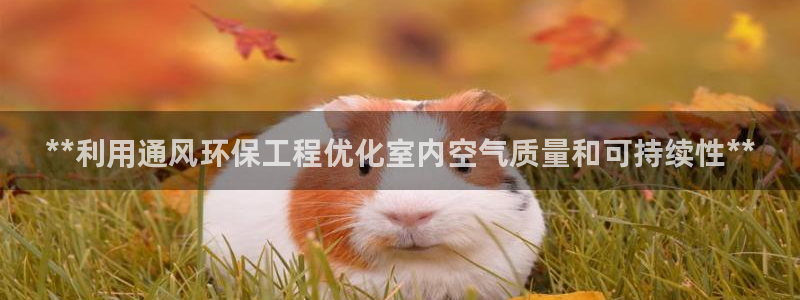 彩名堂客户：**利用通风环保工程优化