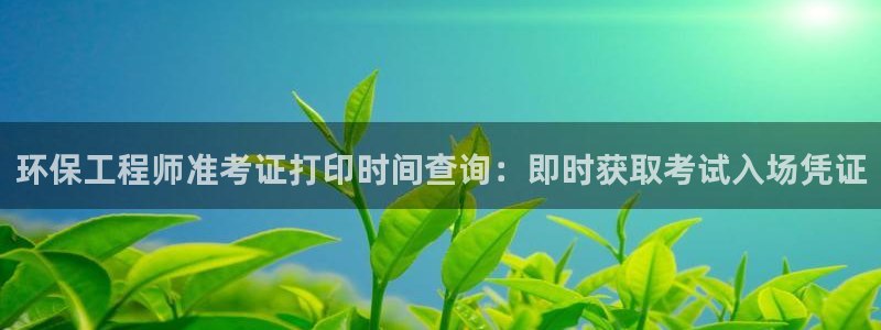彩名堂客户端官网：环保工程师准考证打