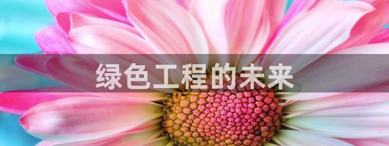 彩名堂官方软件下载：绿色工程的未来