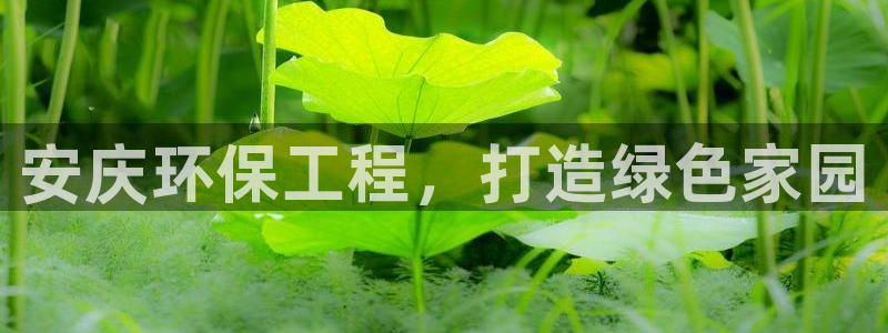 彩名堂免费计划官网50下载957：安