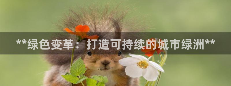 彩名堂怎么跟计划才不连挂呢：**绿色