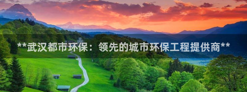 彩名堂苹果客户端：**武汉都市环保：领先的城市环保工程提供商**