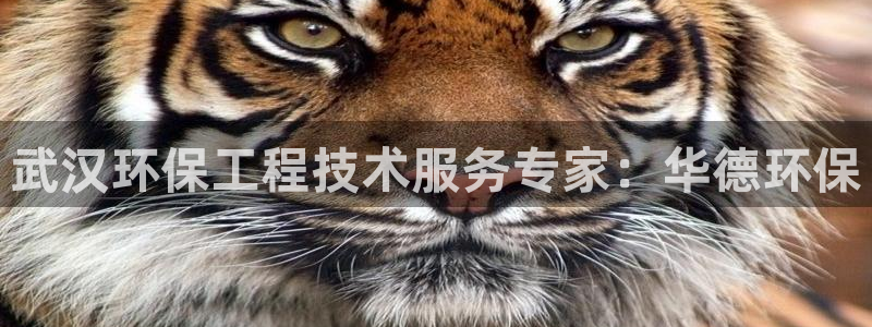 彩名堂官网计划01：武汉环保工程技术服务专家：华德环保