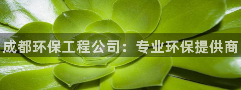 彩名堂客户端是永久免费吗安全吗是真的