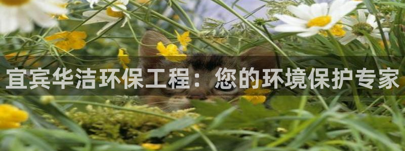 彩名堂客户端是永久免费吗是真的吗：宜宾华洁环保工程：您的环境保护专家