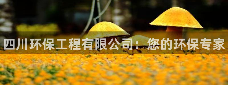 彩名堂官网在线计划：四川环保工程有限