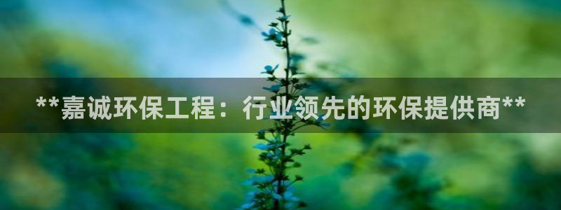 彩名堂人工预测免费计划：**嘉诚环保