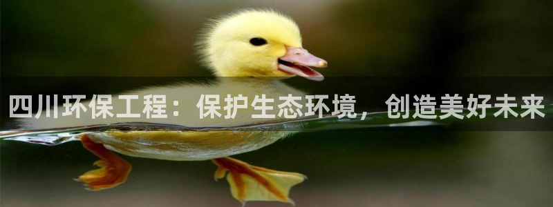 彩名堂客服：四川环保工程：保护生态环