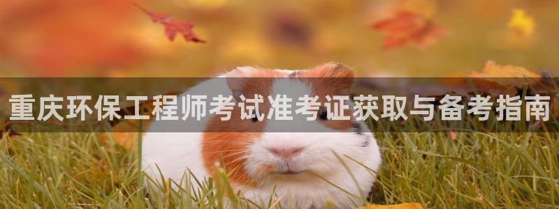 为什么彩名堂今天不能用：重庆环保工程