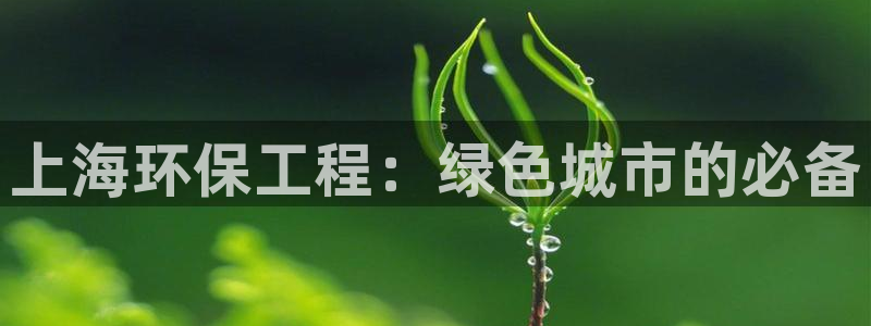 彩名堂免费计划5.0使用方法是什么：