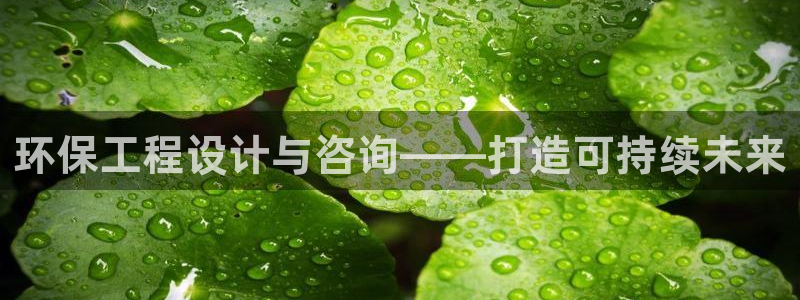彩名堂预测计划：环保工程设计与咨询—