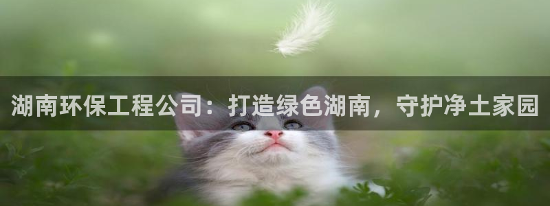 彩名堂免费计划官网5.0.0：湖南环