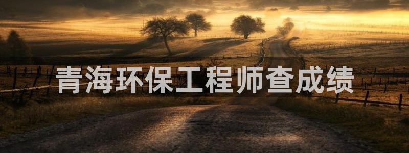 彩名堂01计划：青海环保工程师查成绩
