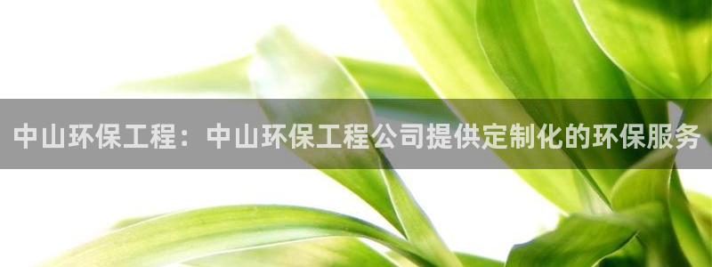 彩名堂50版本计划：中山环保工程：中山环保工程公司提供定制化的环保服务