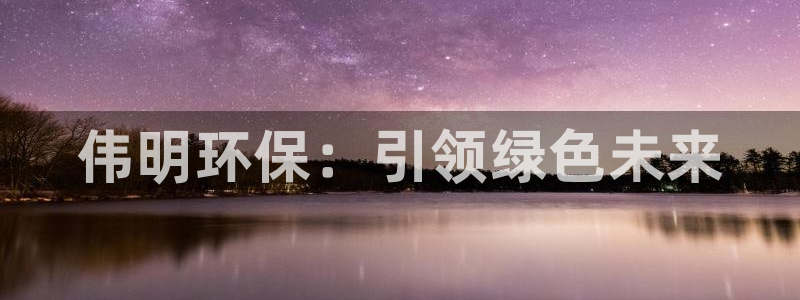 彩名堂安卓客户端官网下载安装：伟明环保：引领绿色未来