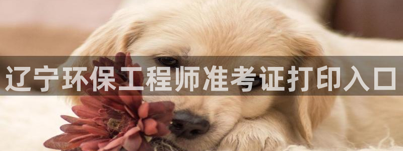 彩名堂安卓客户端官网下载：辽宁环保工程师准考证打印入口