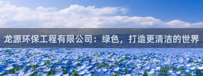 彩名堂官网2：龙源环保工程有限公司：