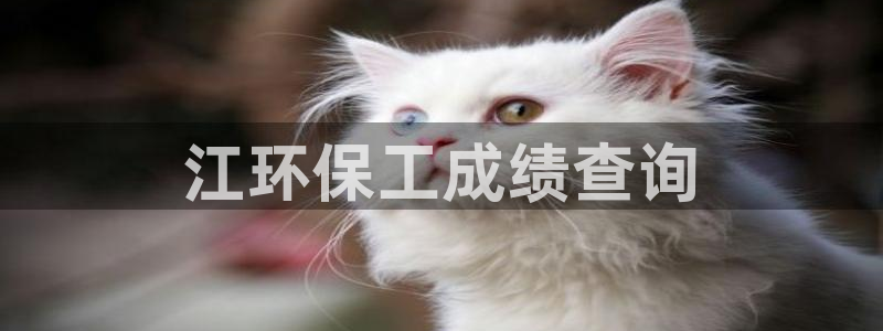 彩名堂的拼音：江环保工成绩查询